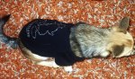 LPIC0949.jpg