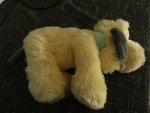 DSC03508.jpg