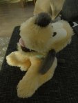 DSC03509.jpg