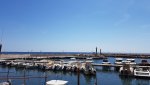20190501_120935.jpg
