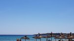20190501_124225.jpg