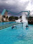 20190511_160256.jpg