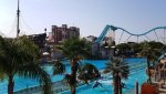 20190525_091142.jpg