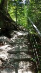 20190608_133215.jpg