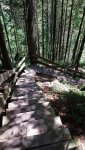 20190608_141923.jpg