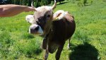 20190608_155755.jpg