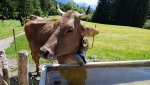 20190608_143911.jpg