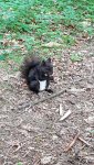 20190609_115432.jpg