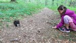 20190609_115456.jpg