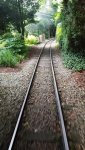 20190713_180248.jpg
