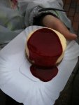 ImageUploadedByTapatalk1369142746.948756.jpg