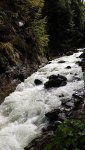 20191008_132957.jpg