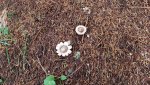 20191101_150546.jpg