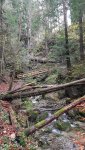 20191102_150534.jpg