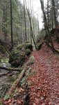 20191102_150453.jpg