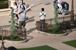 tag22_wdw06.jpg