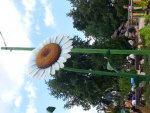 20130810_145455.jpg