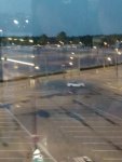 IMG_20220408_065247.jpg