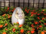 IMG_20220409_153637.jpg