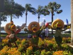 IMG_20220409_171520.jpg