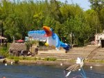 IMG_20220411_152217.jpg