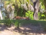 IMG_20220411_114621.jpg