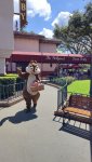 IMG_20220815_111528.jpg