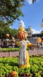 IMG_20220816_172120.jpg