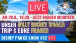 walt-disney-world-trip-fragen-promo.jpg