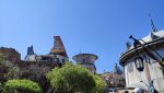 IMG_20220820_105224.jpg