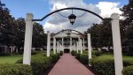 IMG_20220820_170442.jpg
