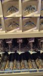 IMG_20220822_125318.jpg
