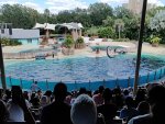 IMG20221005150215.jpg