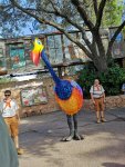 IMG_20221114_094548.jpg
