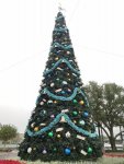 IMG_20221116_080507.jpg