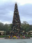 IMG_20221118_065707.jpg
