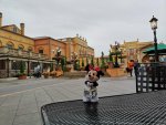 IMG_20221120_112118.jpg