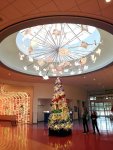 IMG_20221121_074540.jpg