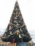 IMG_20221121_144547.jpg