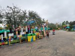 IMG_20221122_073937.jpg