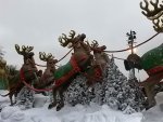 20131118_111817.jpg