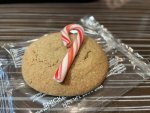 IMG_0536.jpeg