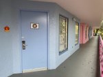 IMG_9362.jpeg
