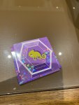 IMG_7502.jpeg