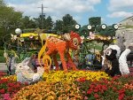 20140503_121611.jpg