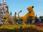 20140503_113943.jpg
