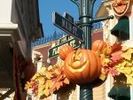 20141001_111010.jpg