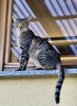 IMG_0161.jpeg