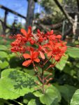 IMG_0192.jpeg