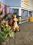 IMG_0212.jpeg